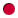 紅圓點