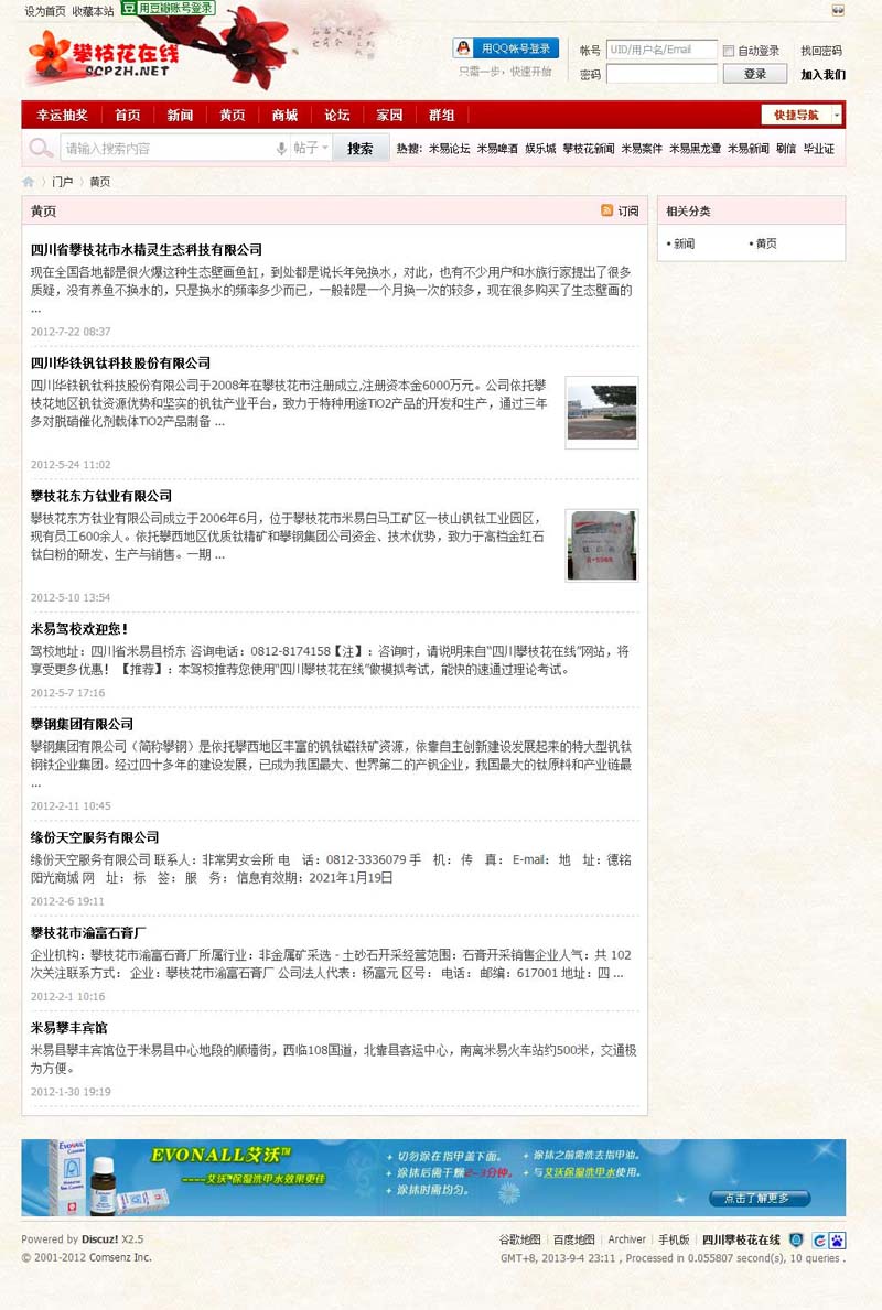 四川攀枝在線網站建設